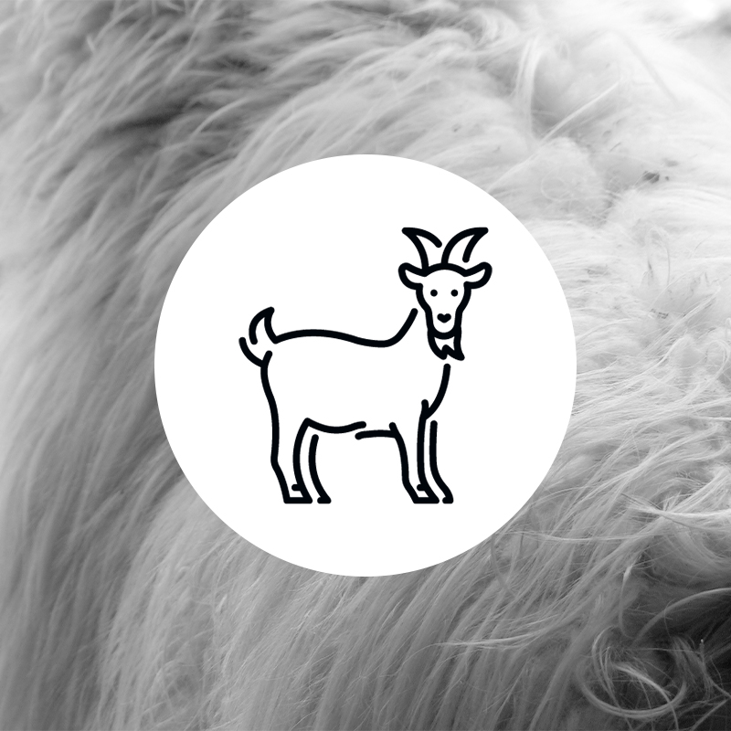 FTC Cashmere about company philosophy