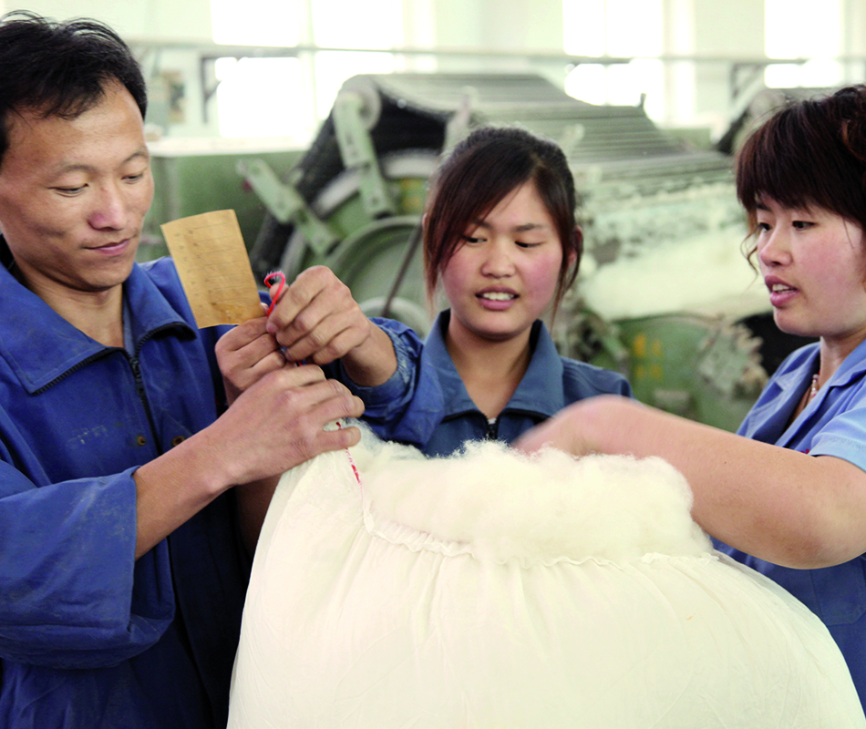 FTC Cashmere Stylebook