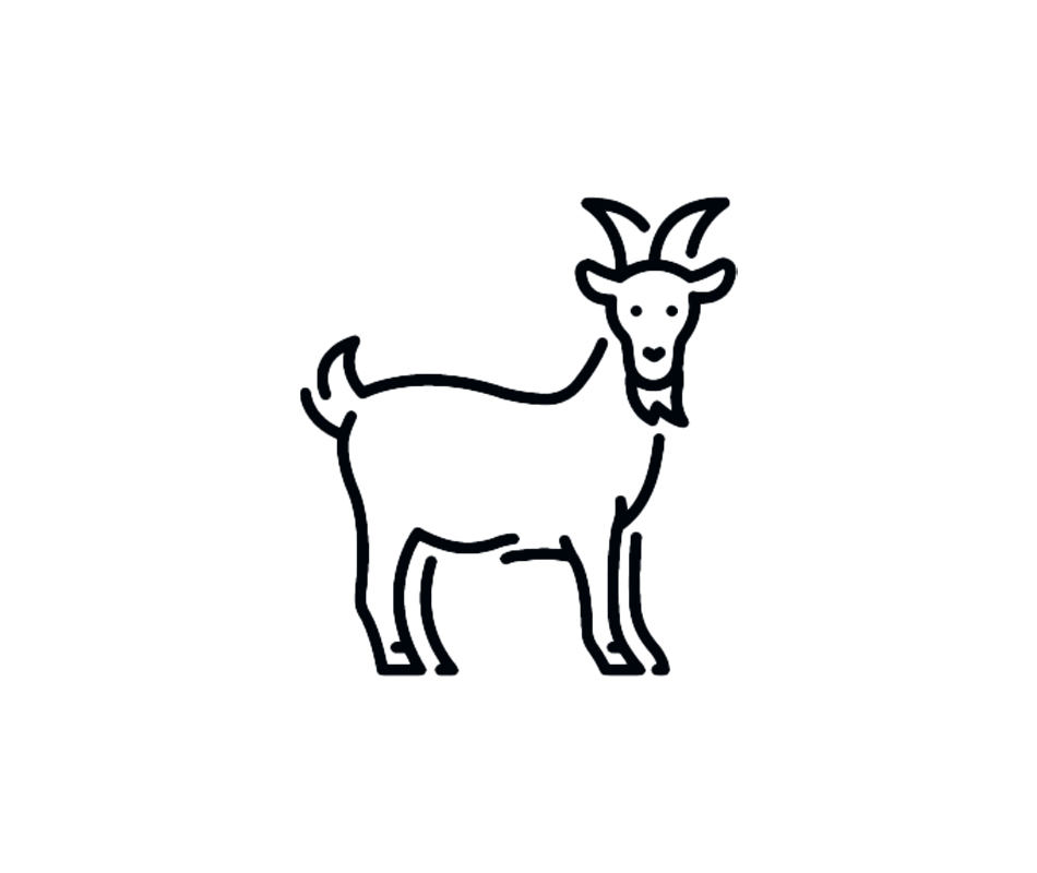 FTC Cashmere Stylebook