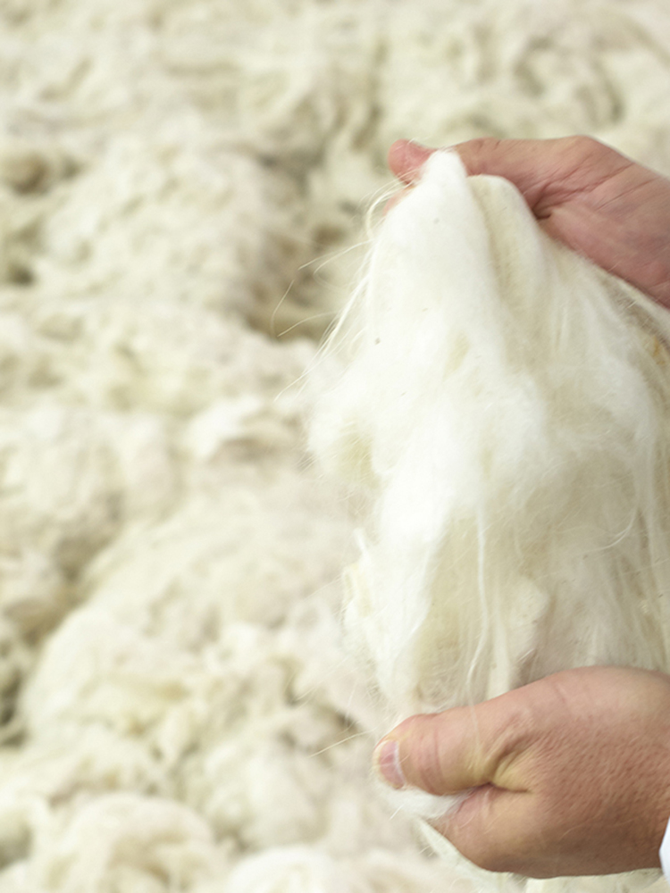 FTC Cashmere Stylebook
