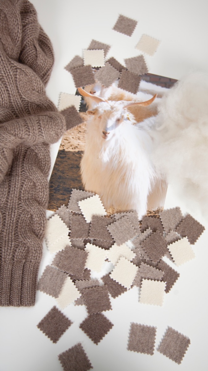 FTC Cashmere natural yarn
